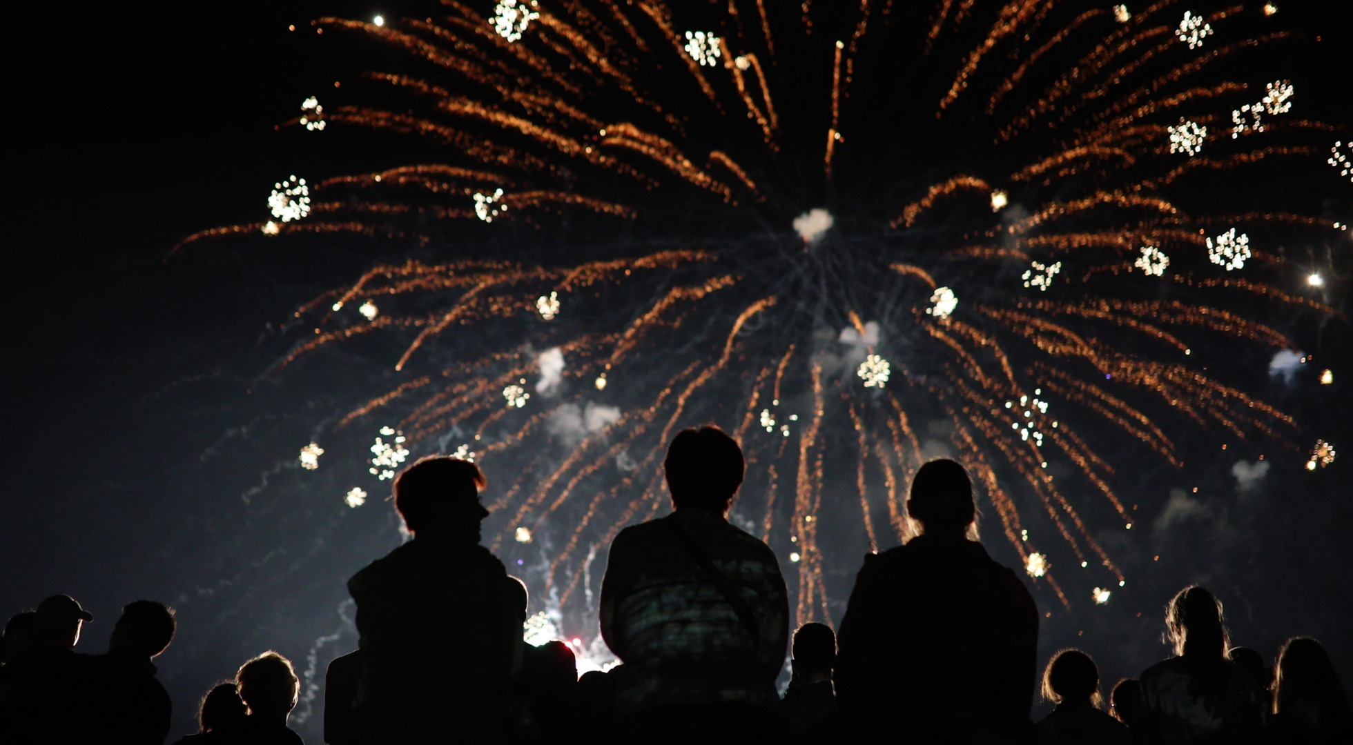 Expert Tips: Helping a Dog Scared of Fireworks