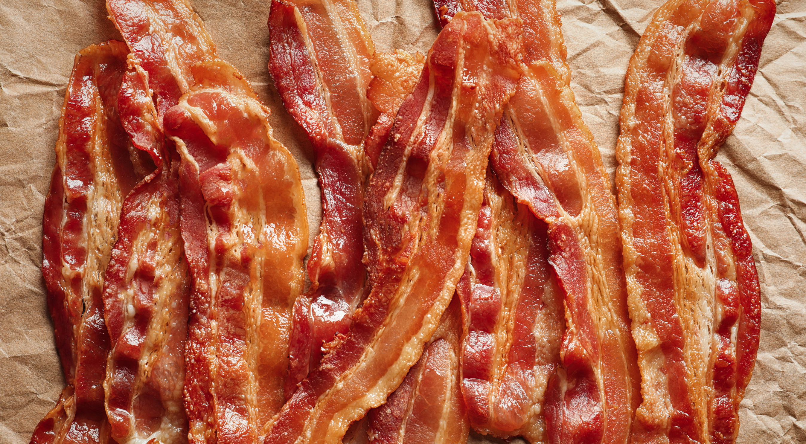 Can My Dog Eat Bacon? Safe Practices and Risks