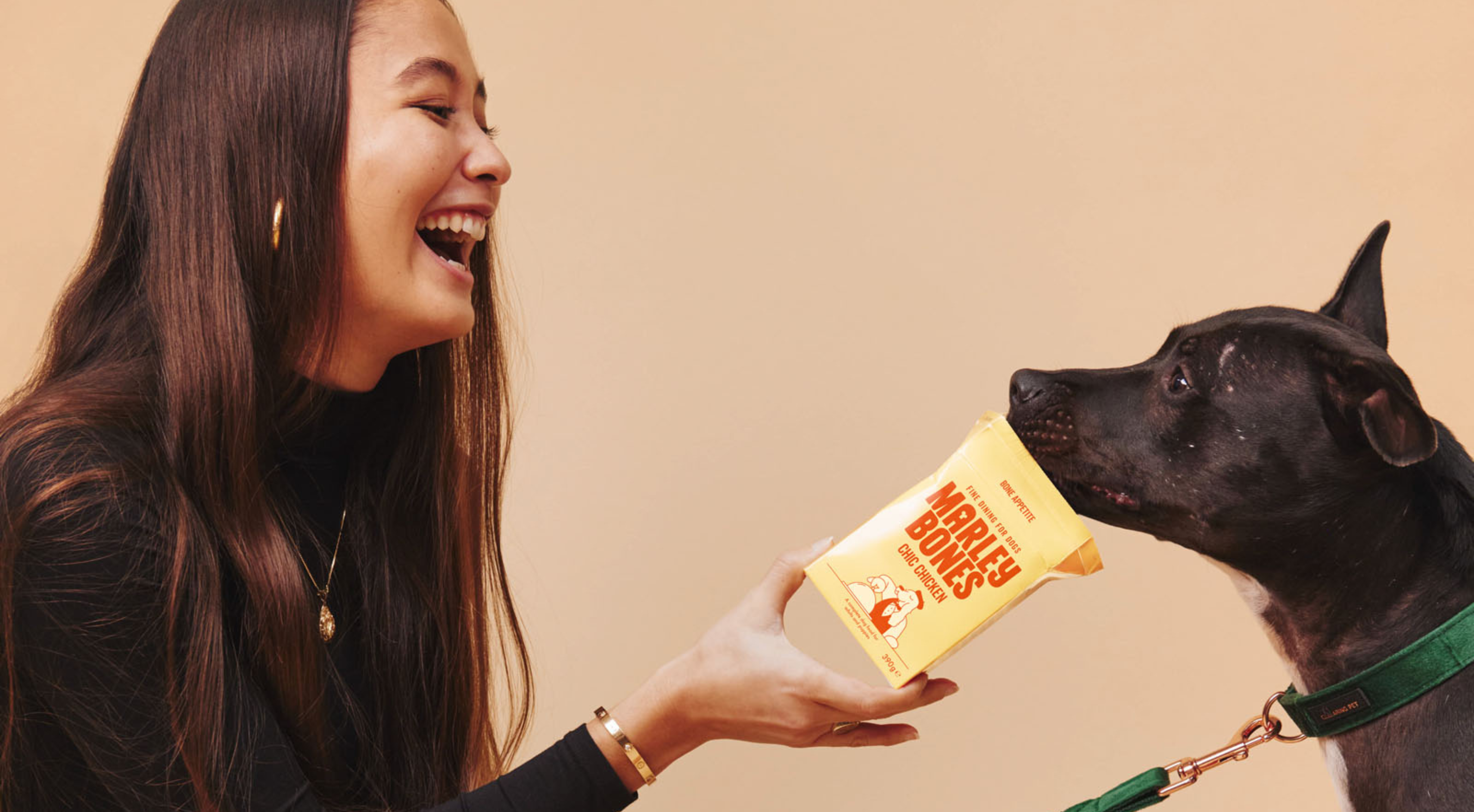 Got a Fussy Eater Dog? Here's What You Need to Know – And How to Help