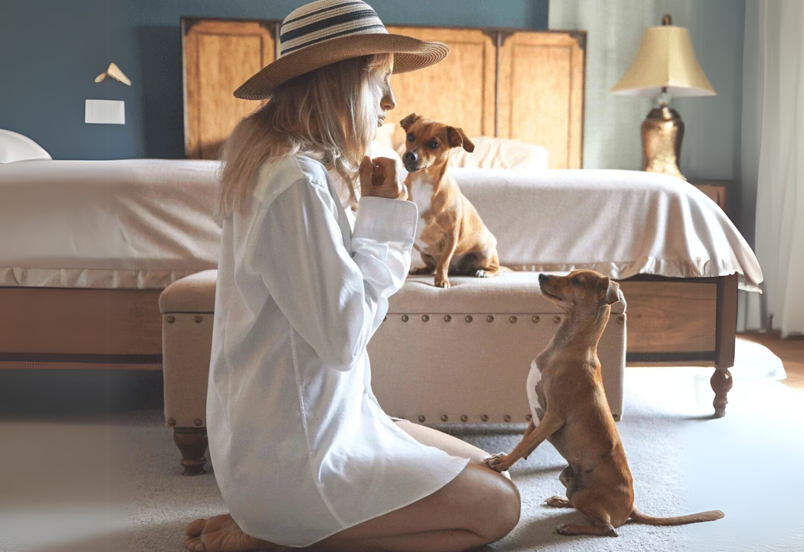 Teach Your Dog How To Twist And Spin