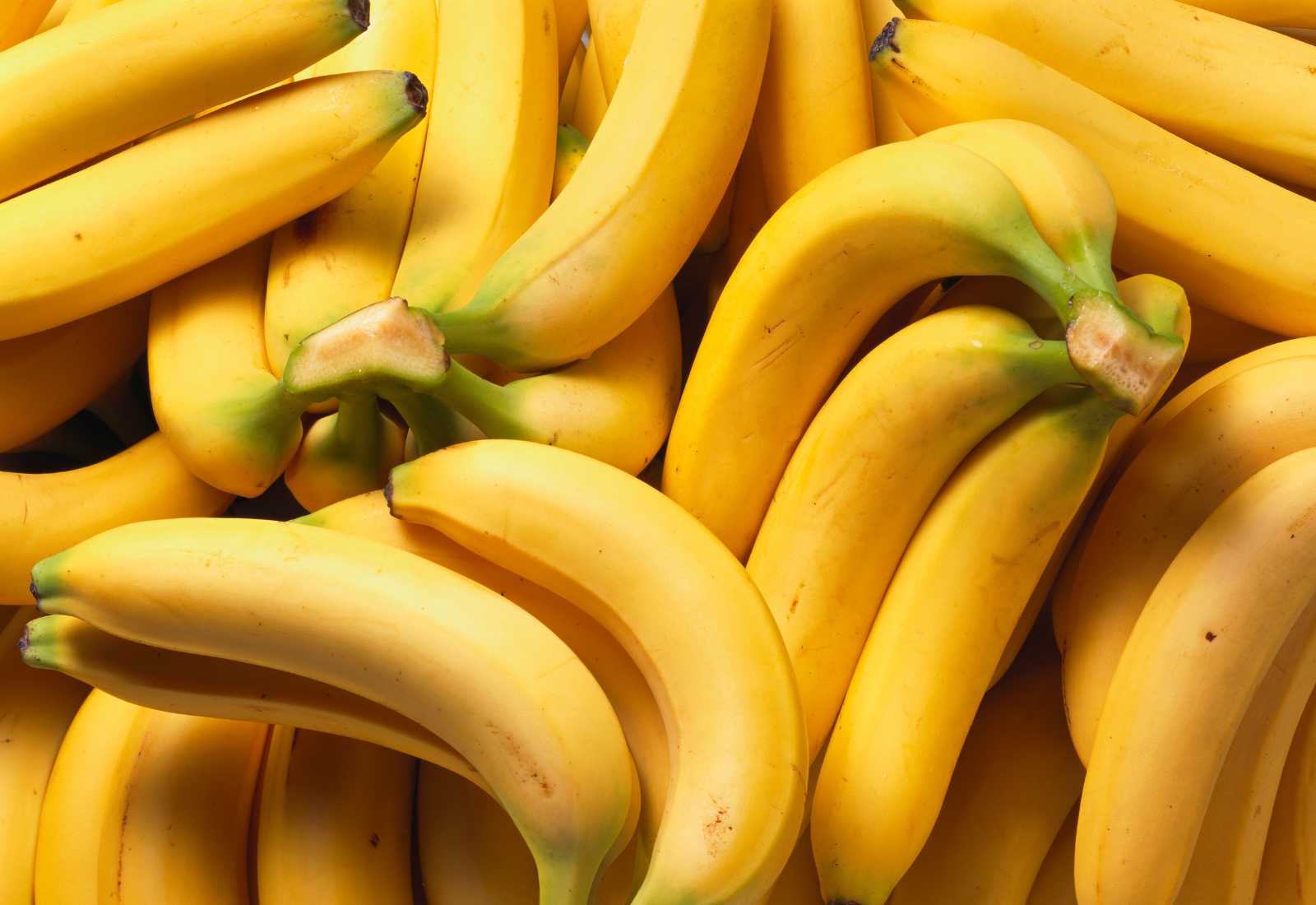 Can Dogs Eat Bananas?