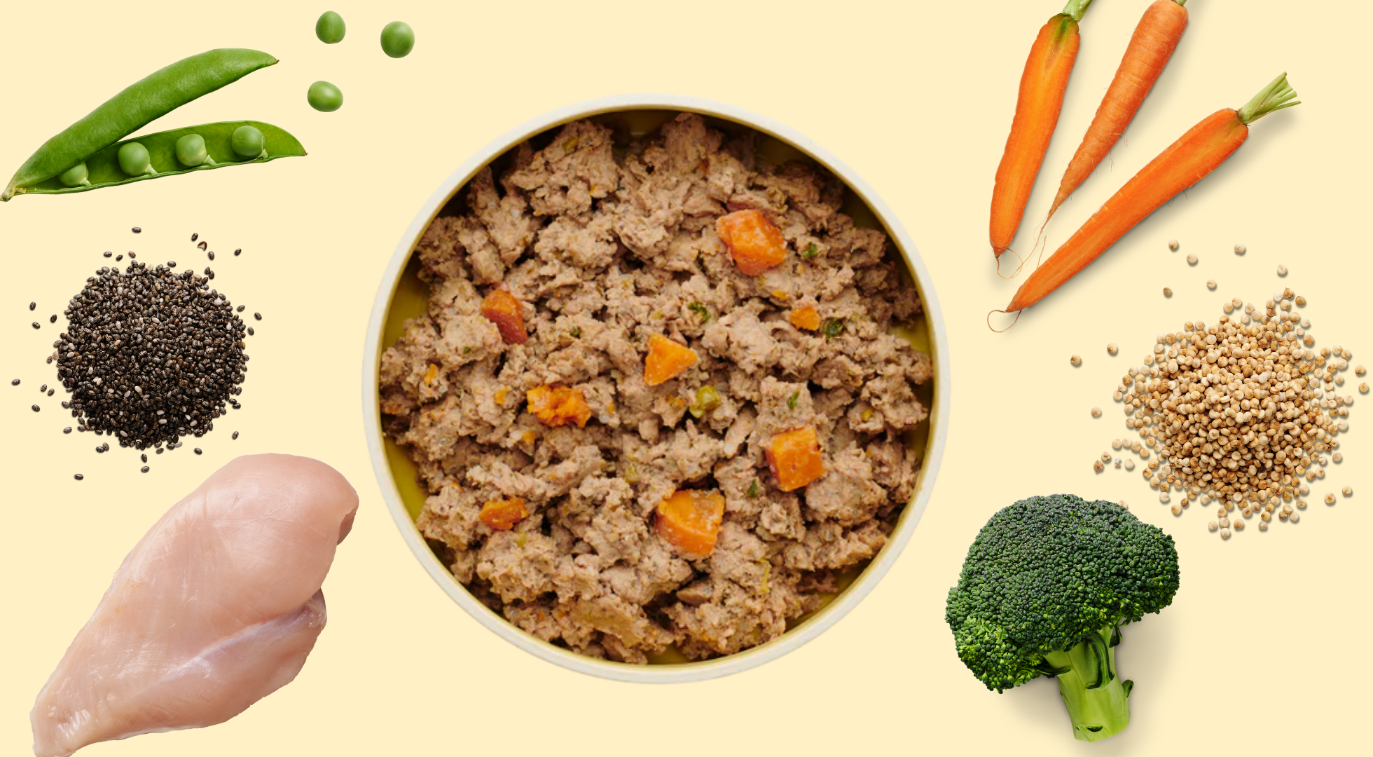 Dog Food Ingredients: A Complete Guide to Nutrition and Labels