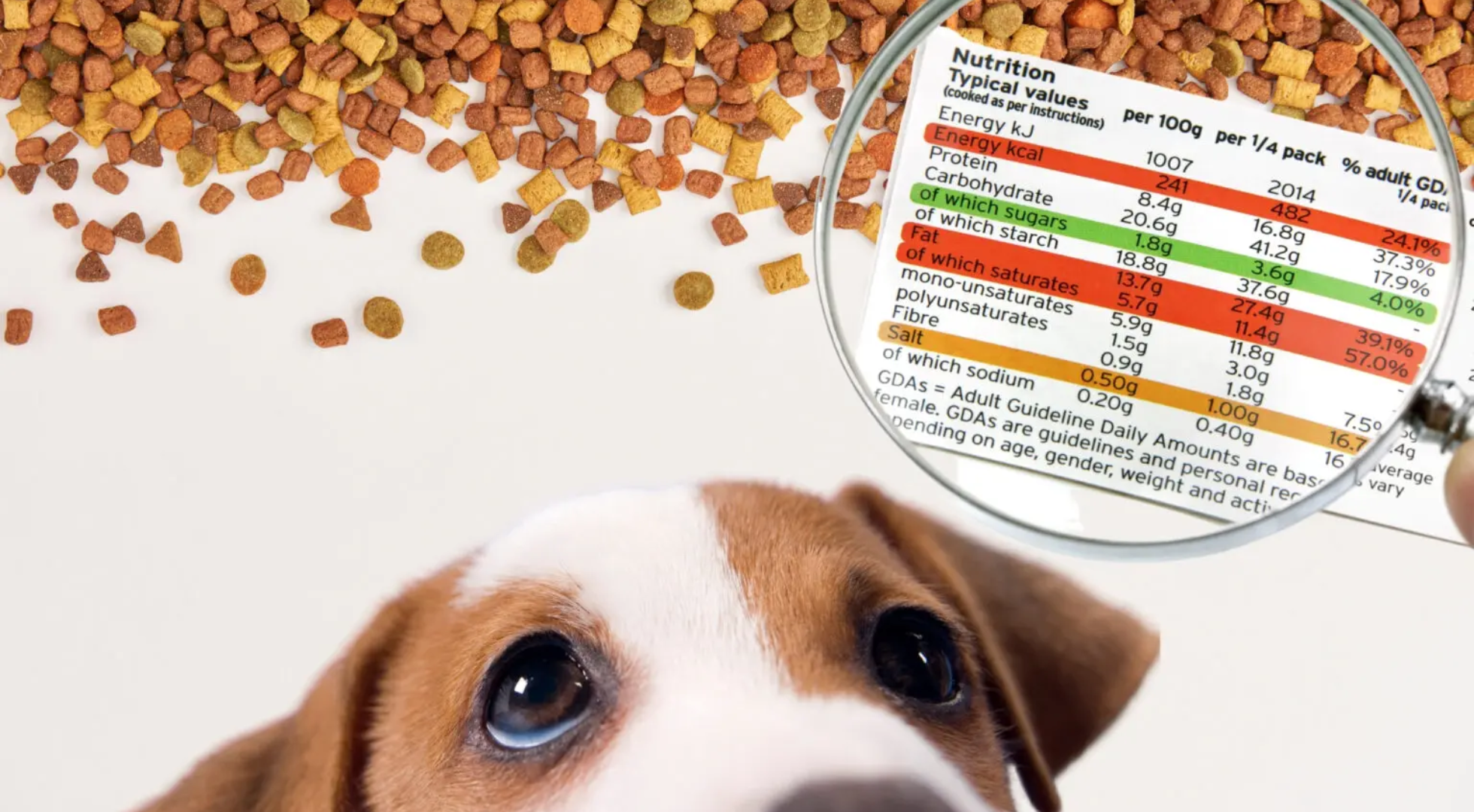 Dog Food Safety Standards Explained: What Certification and Traceability Actually Mean