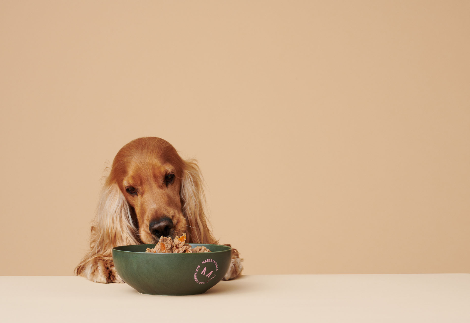 Puppy Food vs. Adult Dog Food: Key Nutritional Differences Explained