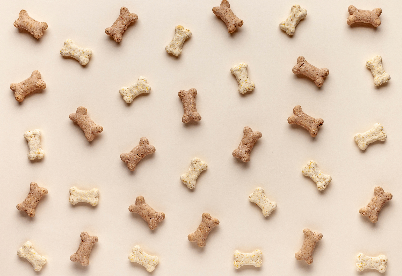 Are Milk Bones Bad for Dogs? Uncovering Health Effects