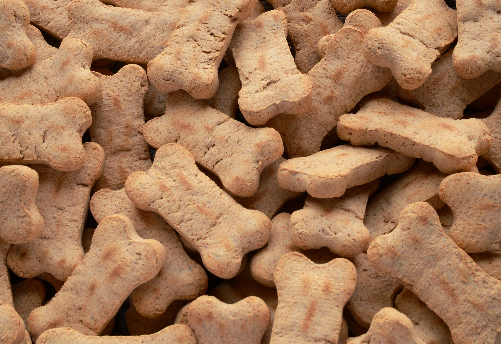 Can Dog Treats Make a Dog Sick? Understanding the Risks and Precautions