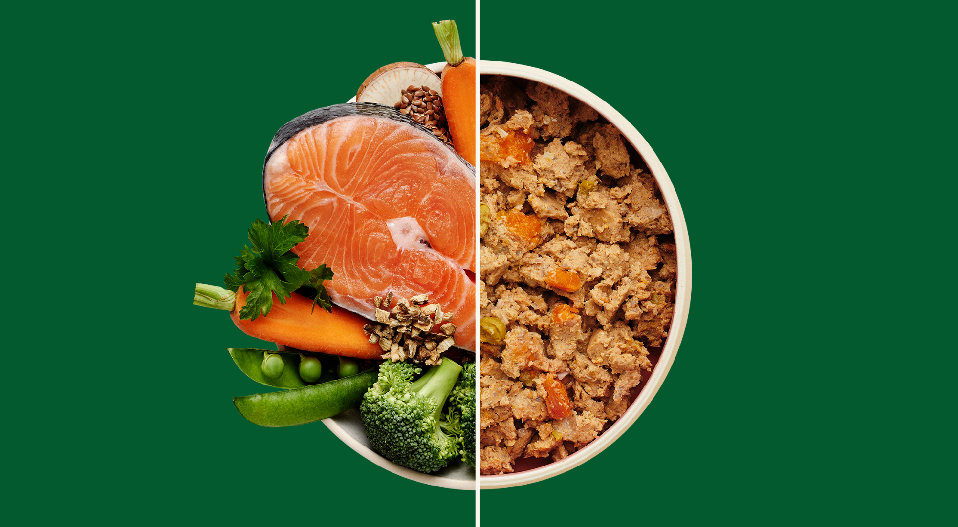 Fresh Dog Food vs Air Dried Dog Food – Which is Better for Your Dog?