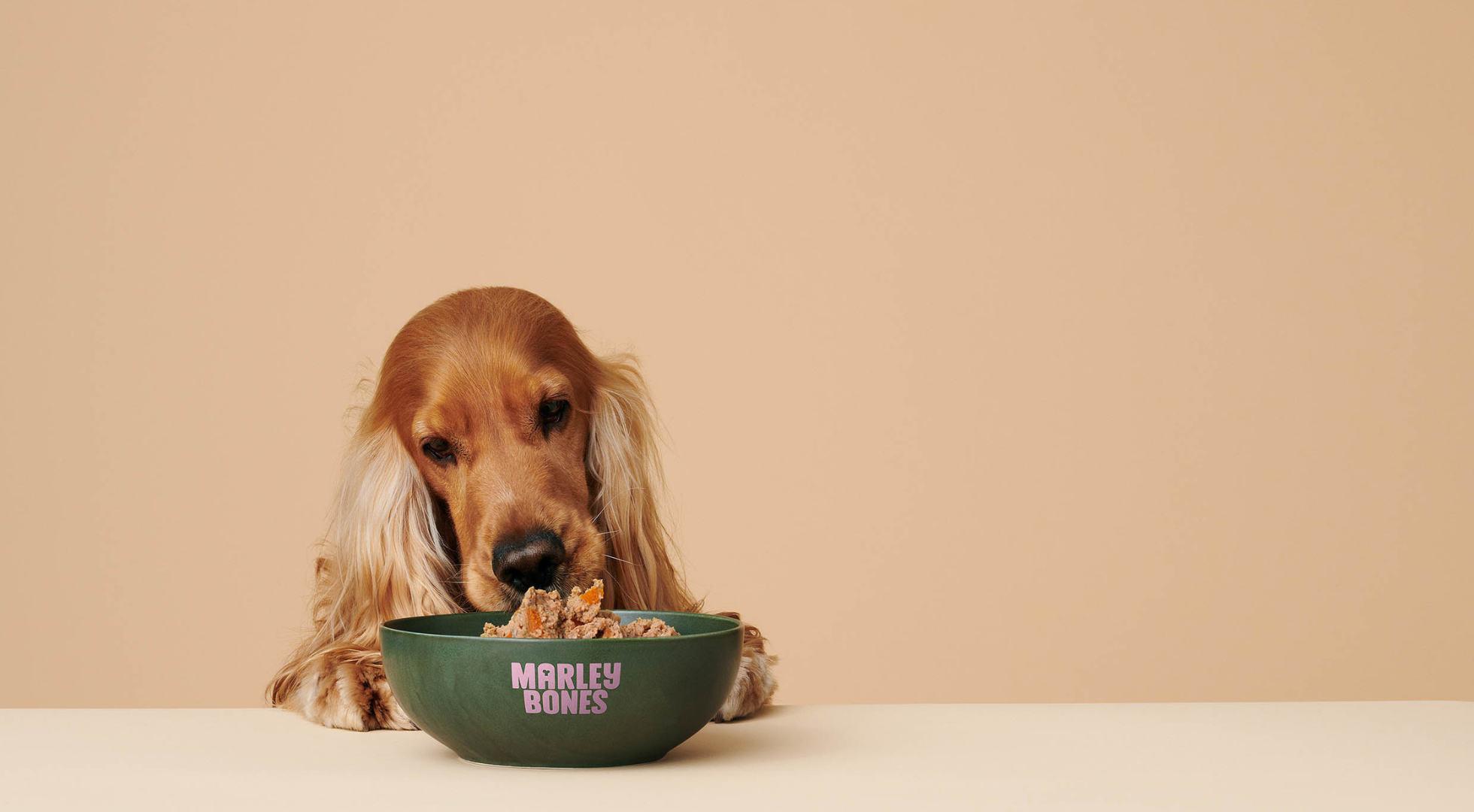Fresh Dog Food vs Freeze Dried  – Which is Better for Your Dog?