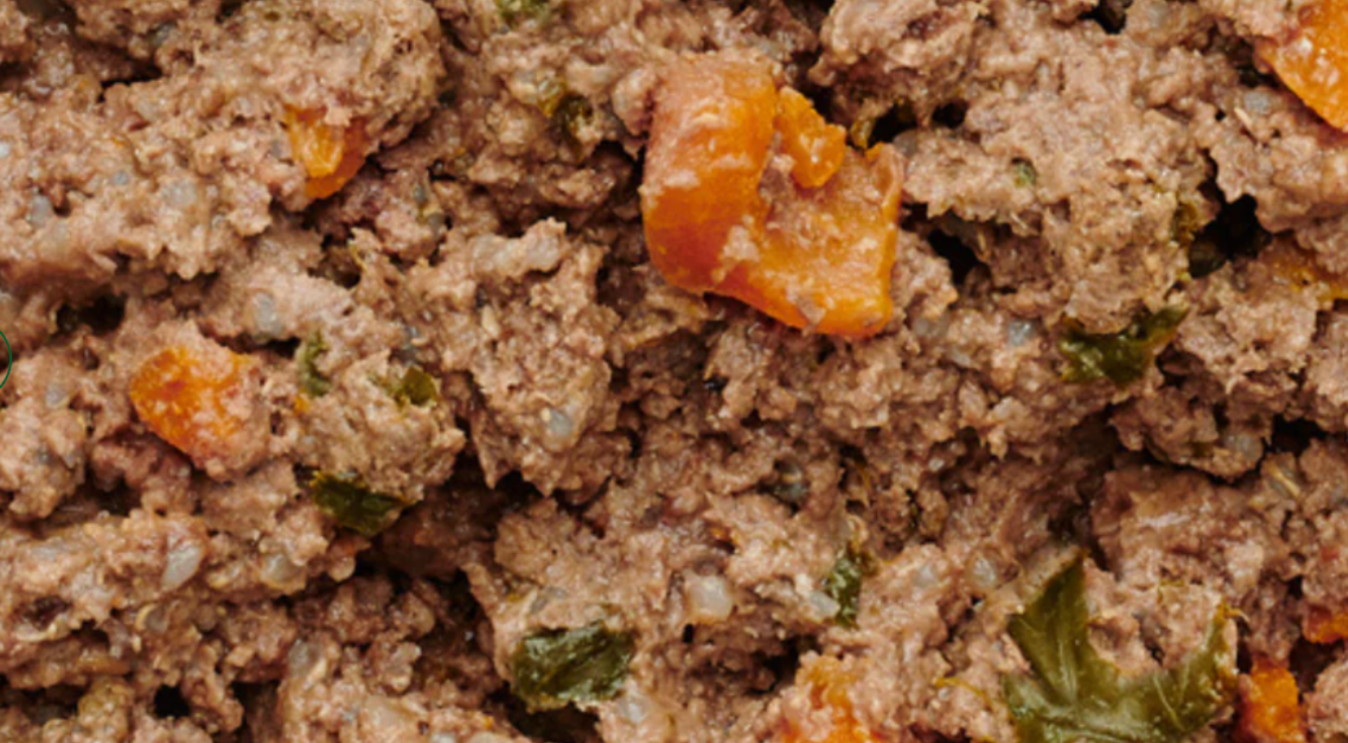 Fresh Dog Food vs Wet Dog Food – Which is Better for Your Dog?