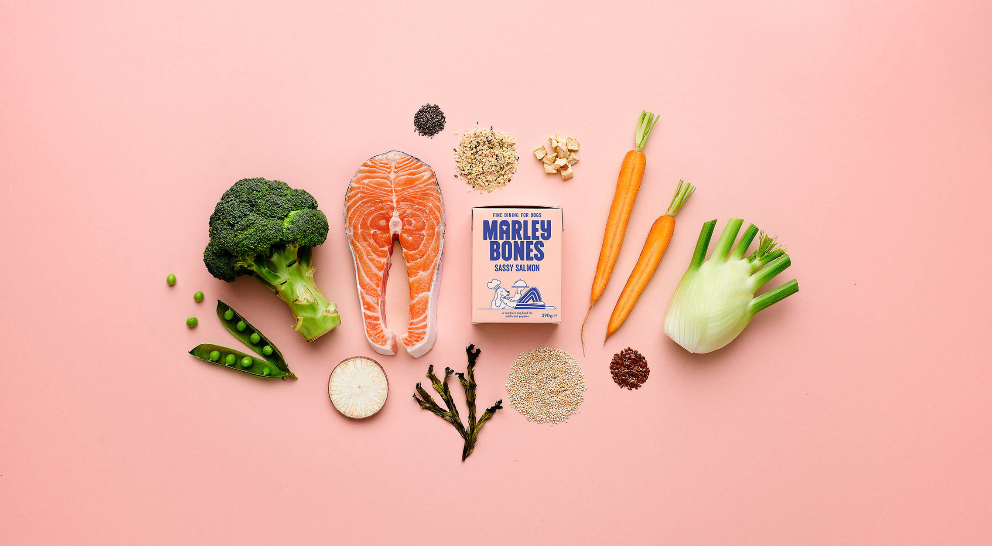 Fresh Dog Food Explained: What It Is, Why It Matters and How to Choose