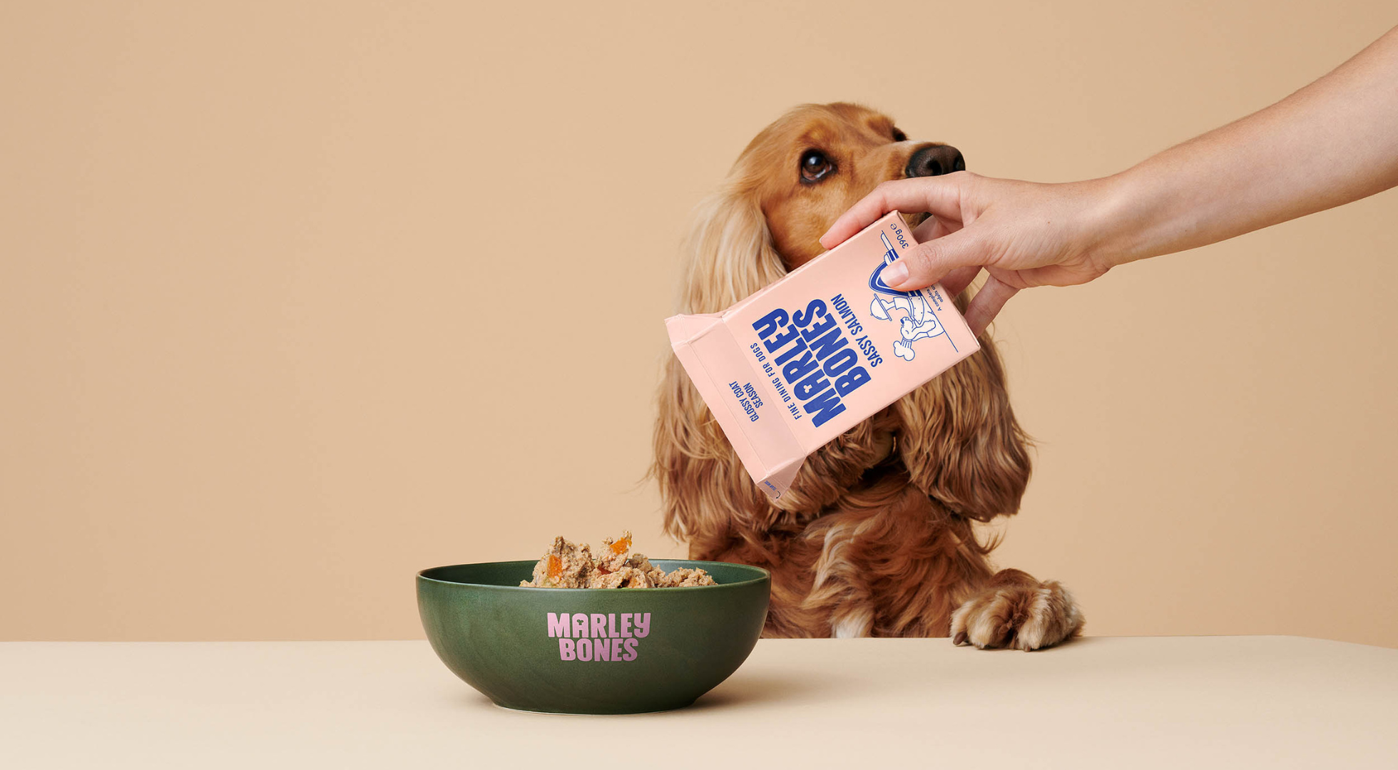 How To Transition Your Dog To Fresh Food