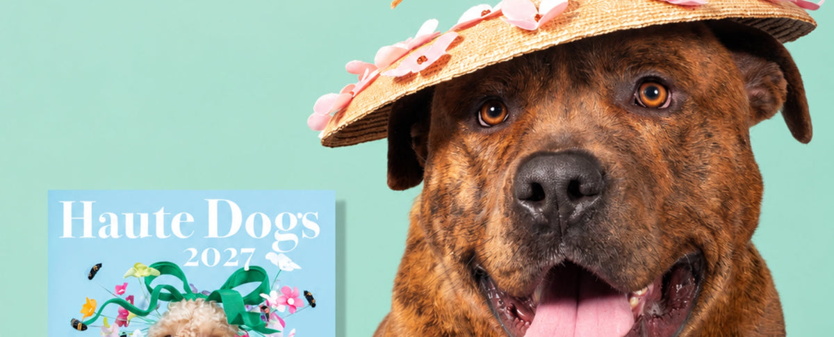 Twelve rescue dogs, twelve couture hats: behind the 2027 Haute Dogs calendar