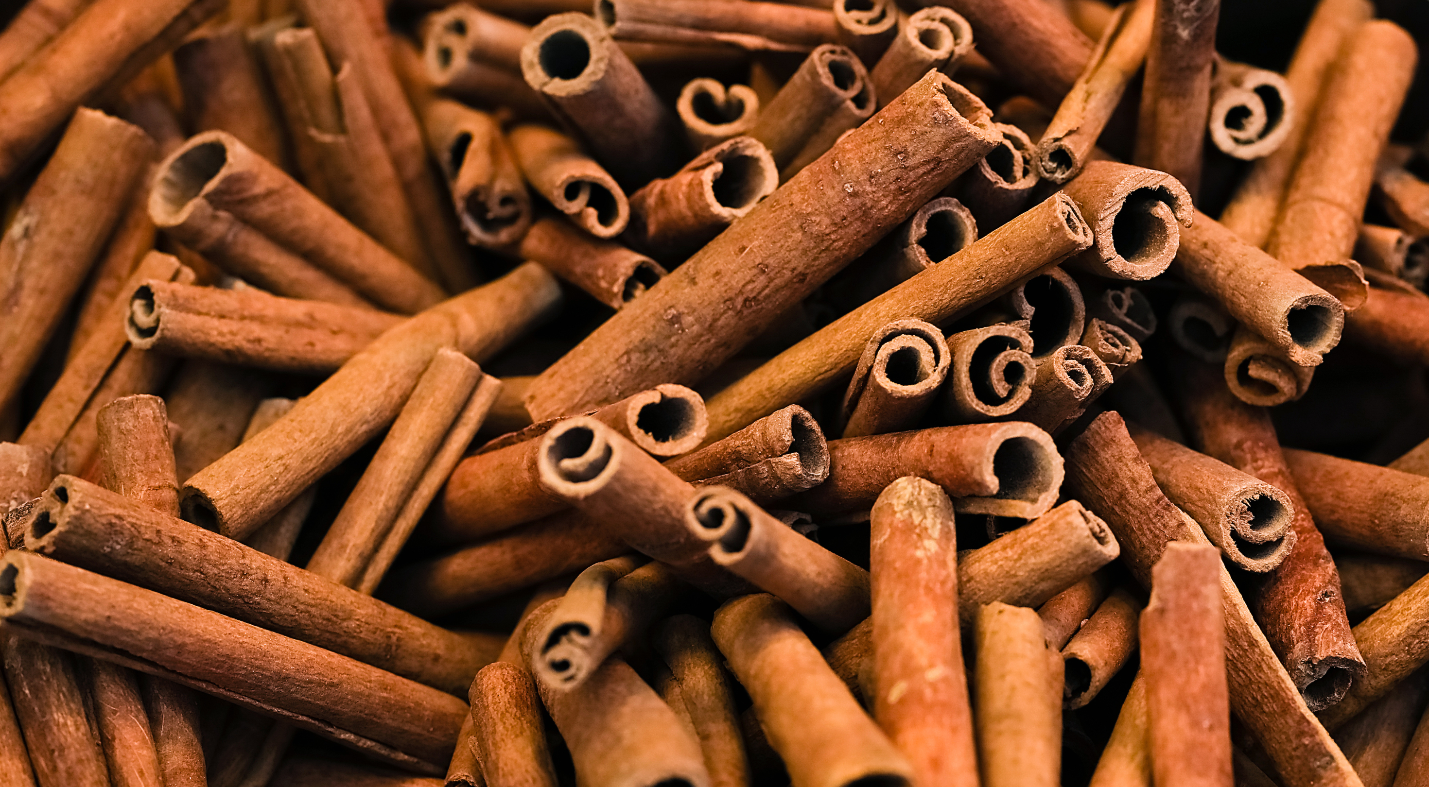 Can My Dog Eat Cinnamon? Risks and Benefits Explained