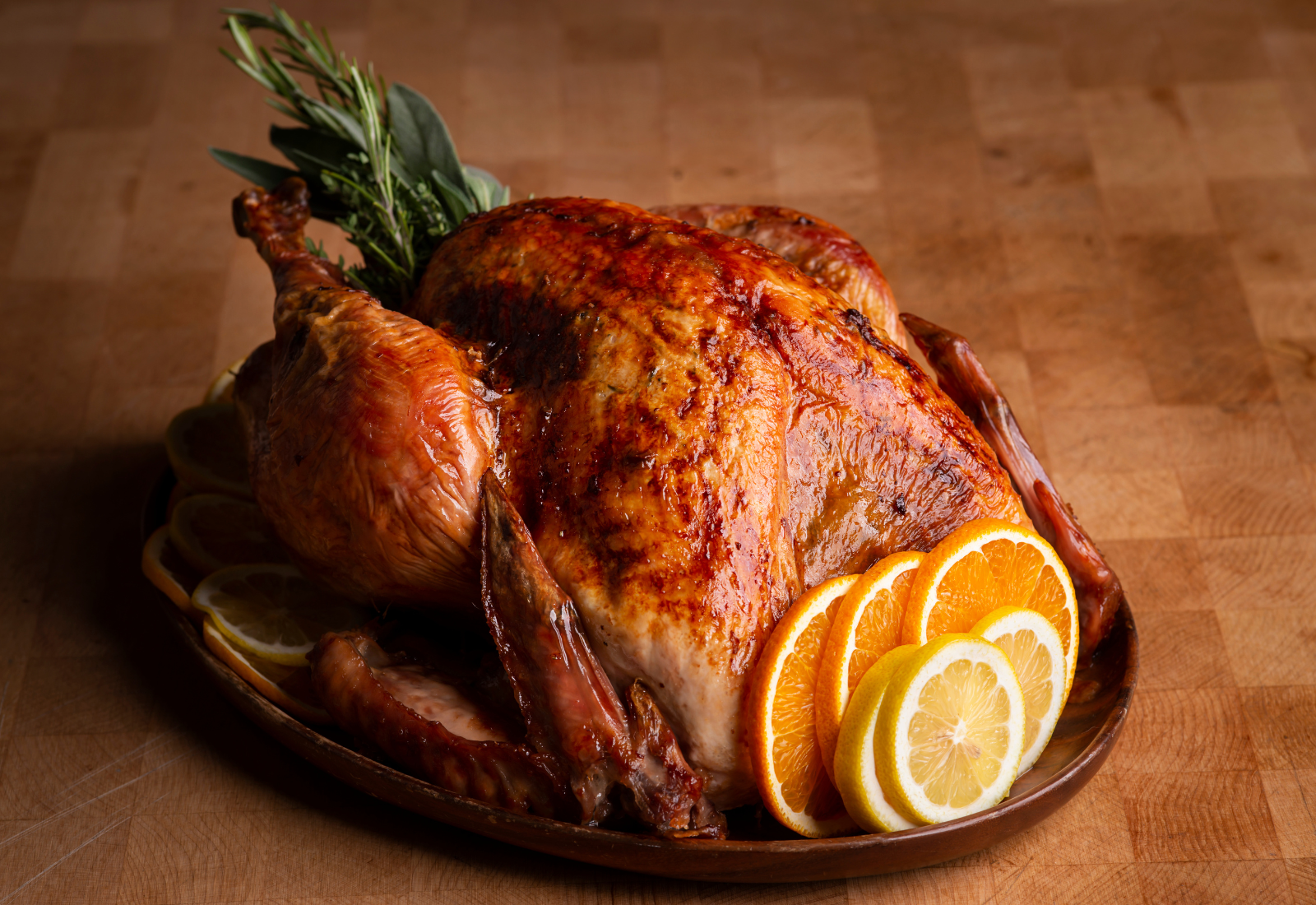 Can Dogs Eat Turkey? The Do's and Don'ts
