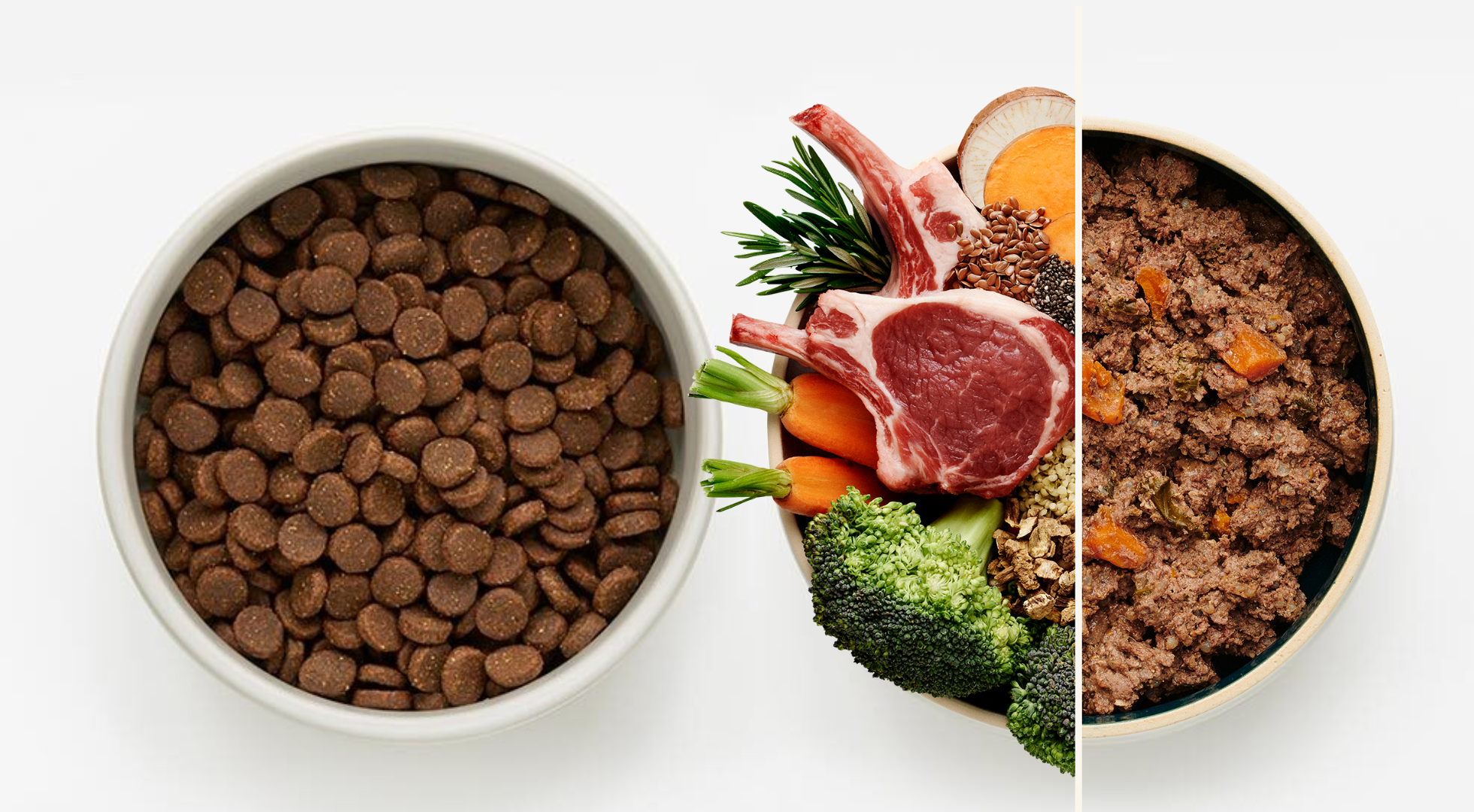 Fresh Dog Food vs Kibble - Which is Better for Your Dog?