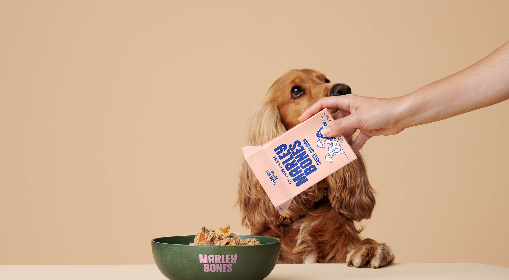 Why I Started Marleybones: The Dog Behind the Brand