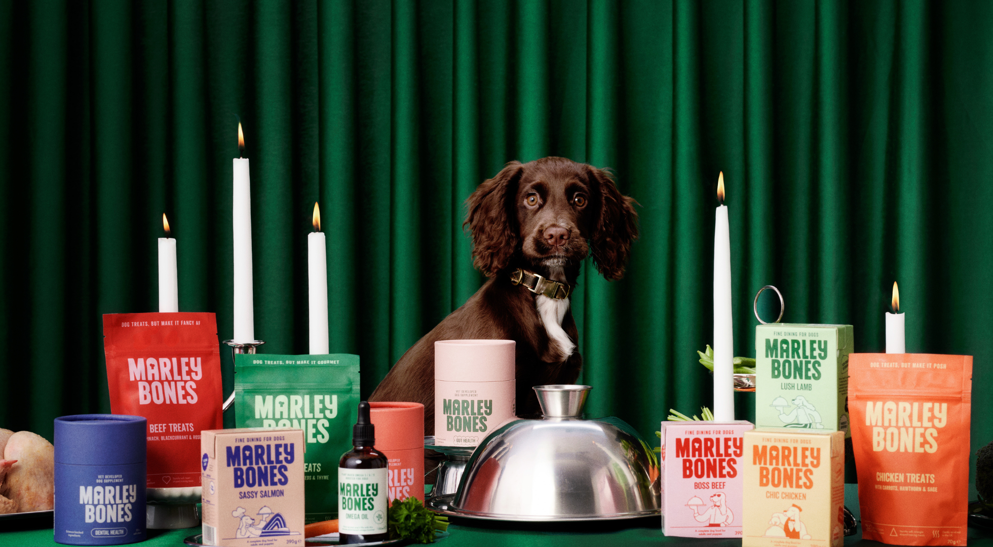 Marleybones vs Years: Which Pantry Fresh Dog Food is Right for Your Dog?