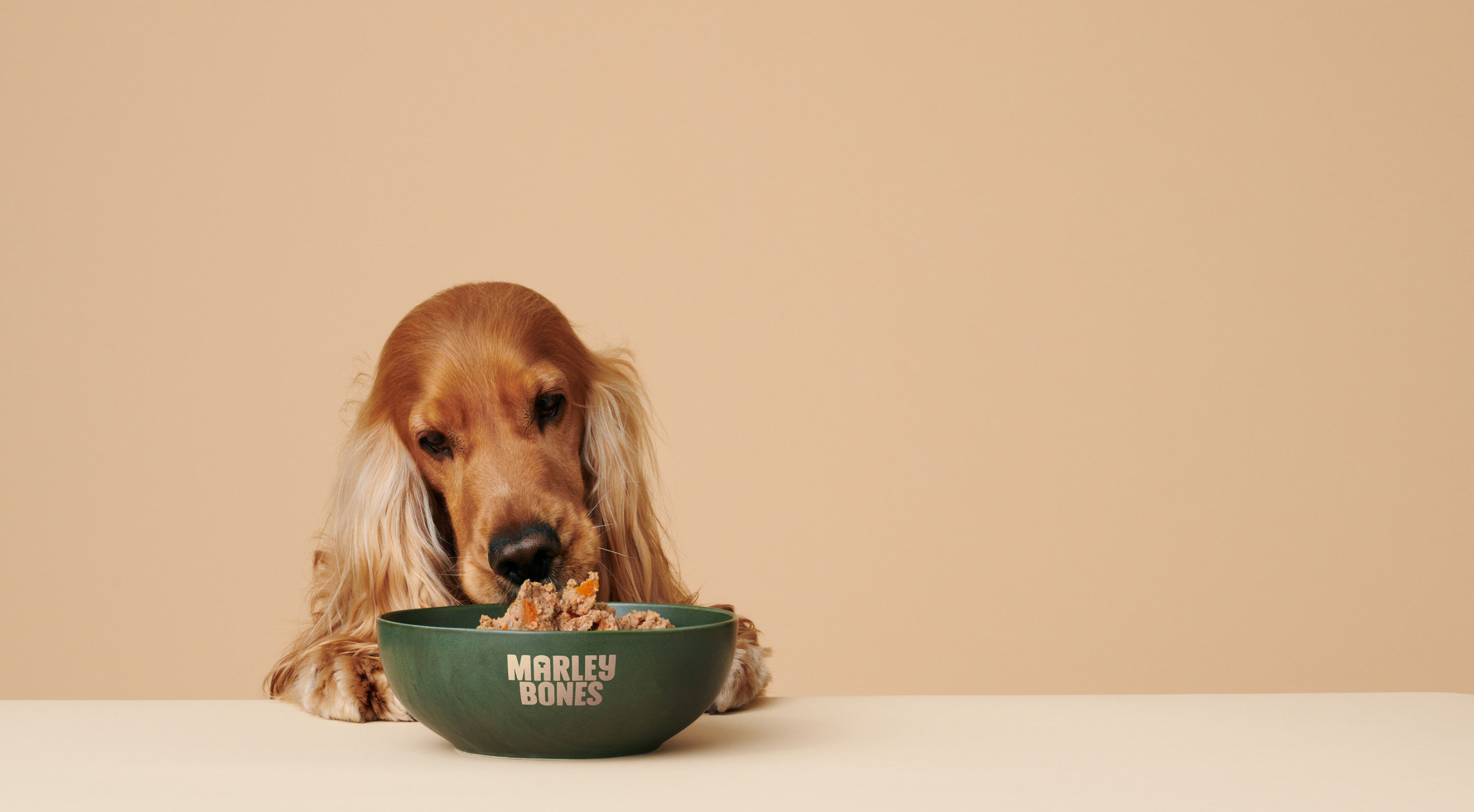 What's in the Bowl? Marleybones Meals Explained