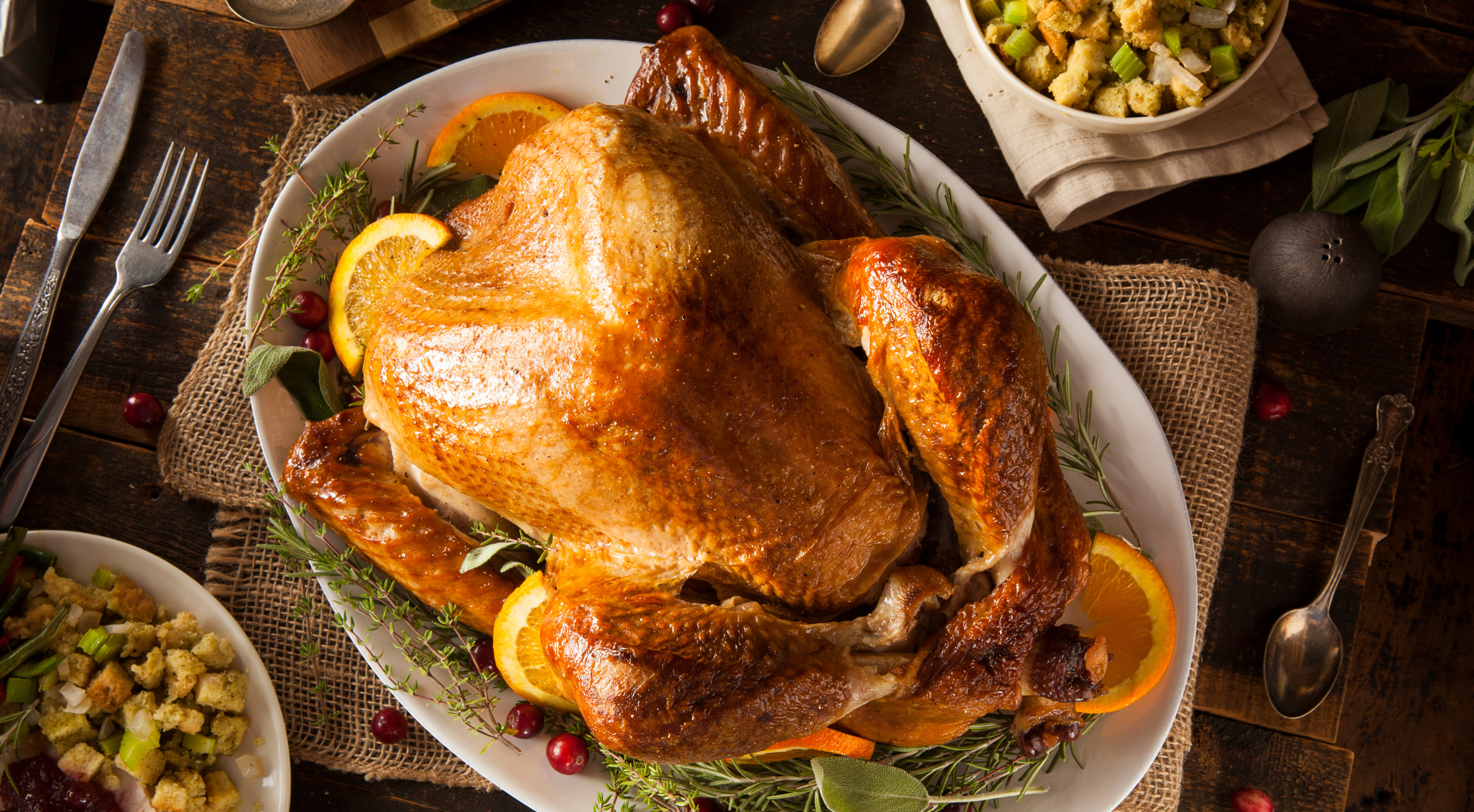 Can Dogs Eat Turkey? The Do's and Don'ts