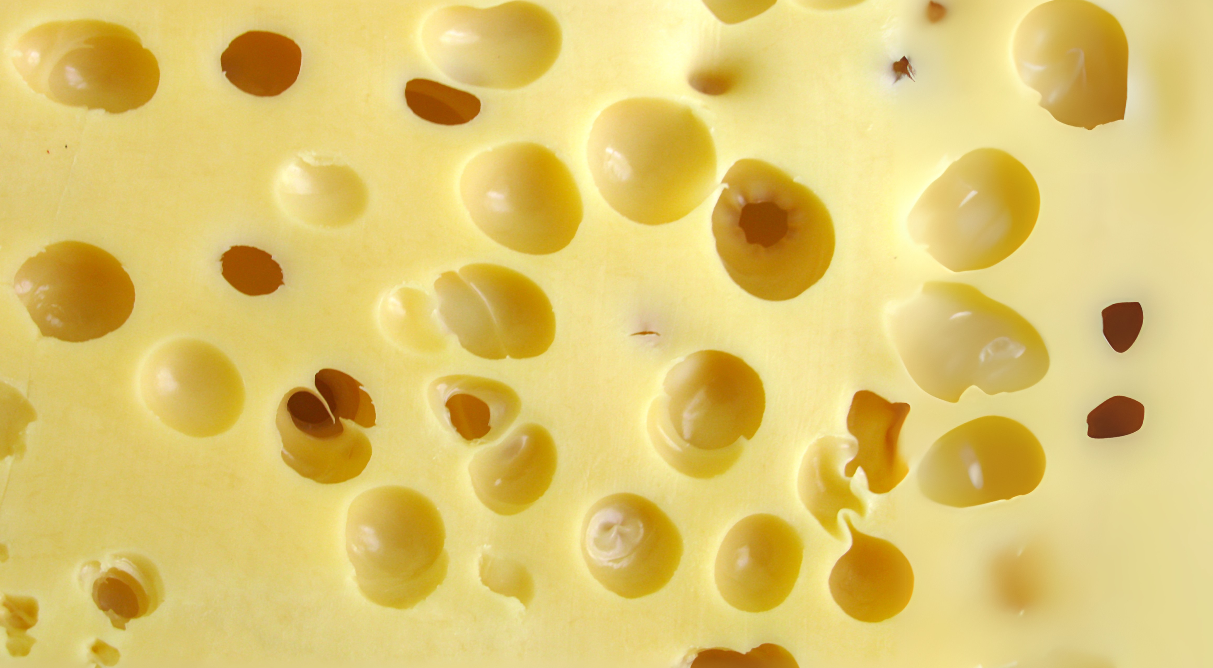 Can My Dog Eat Cheese? The Truth for Pet Owners