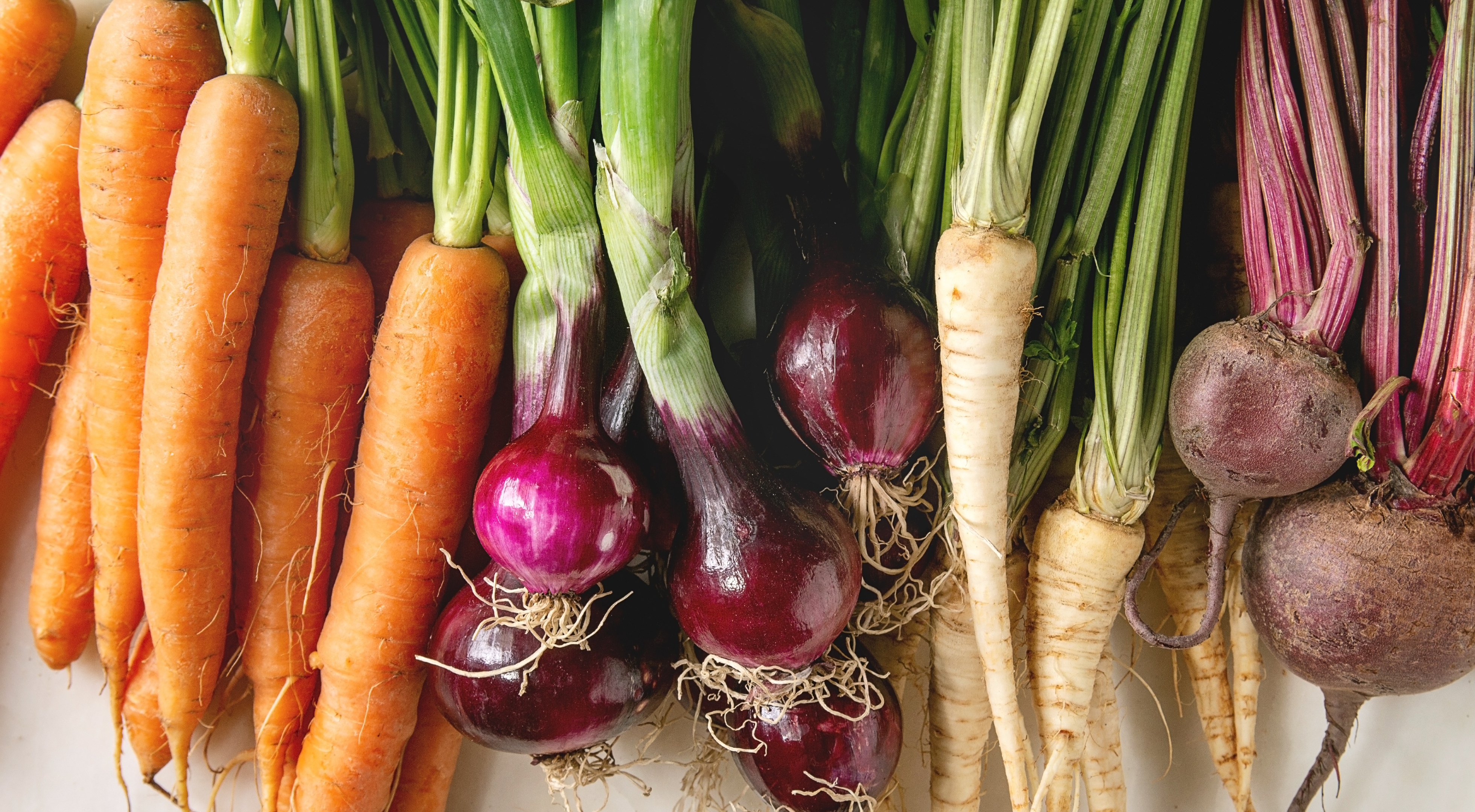 Can My Dog Eat Vegetables? Safe Options and Health Benefits Explained