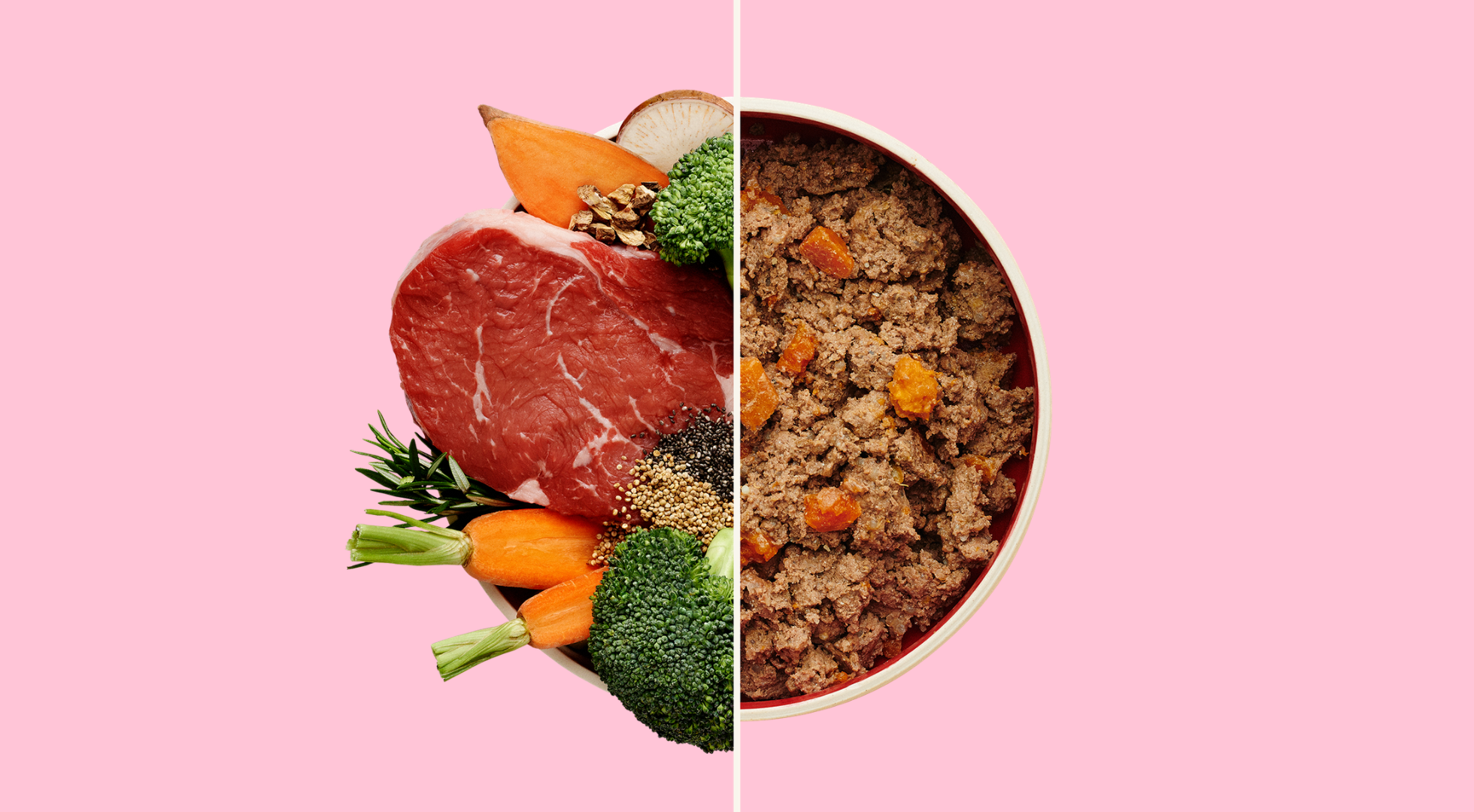 Fresh Dog Food vs Cold Pressed – Which is Better for Your Dog?