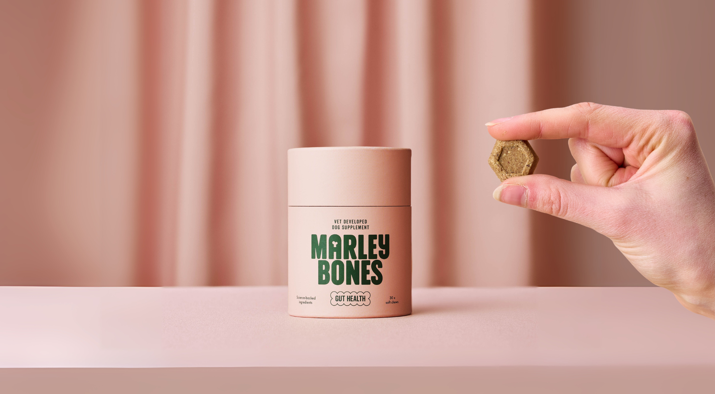 What's in the Marleybones Gut Health Supplement - and what does each ingredient do?