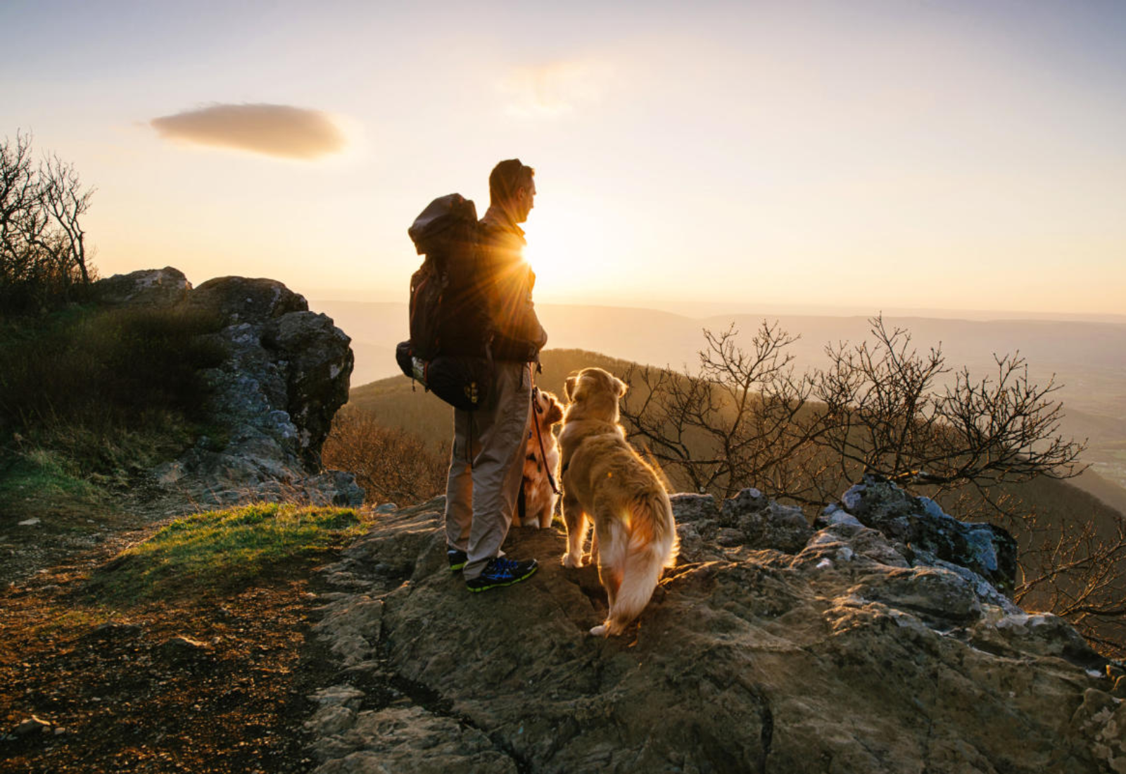 Hiking with Your Dog: Expert Tips for a Safe Outdoor Adventure