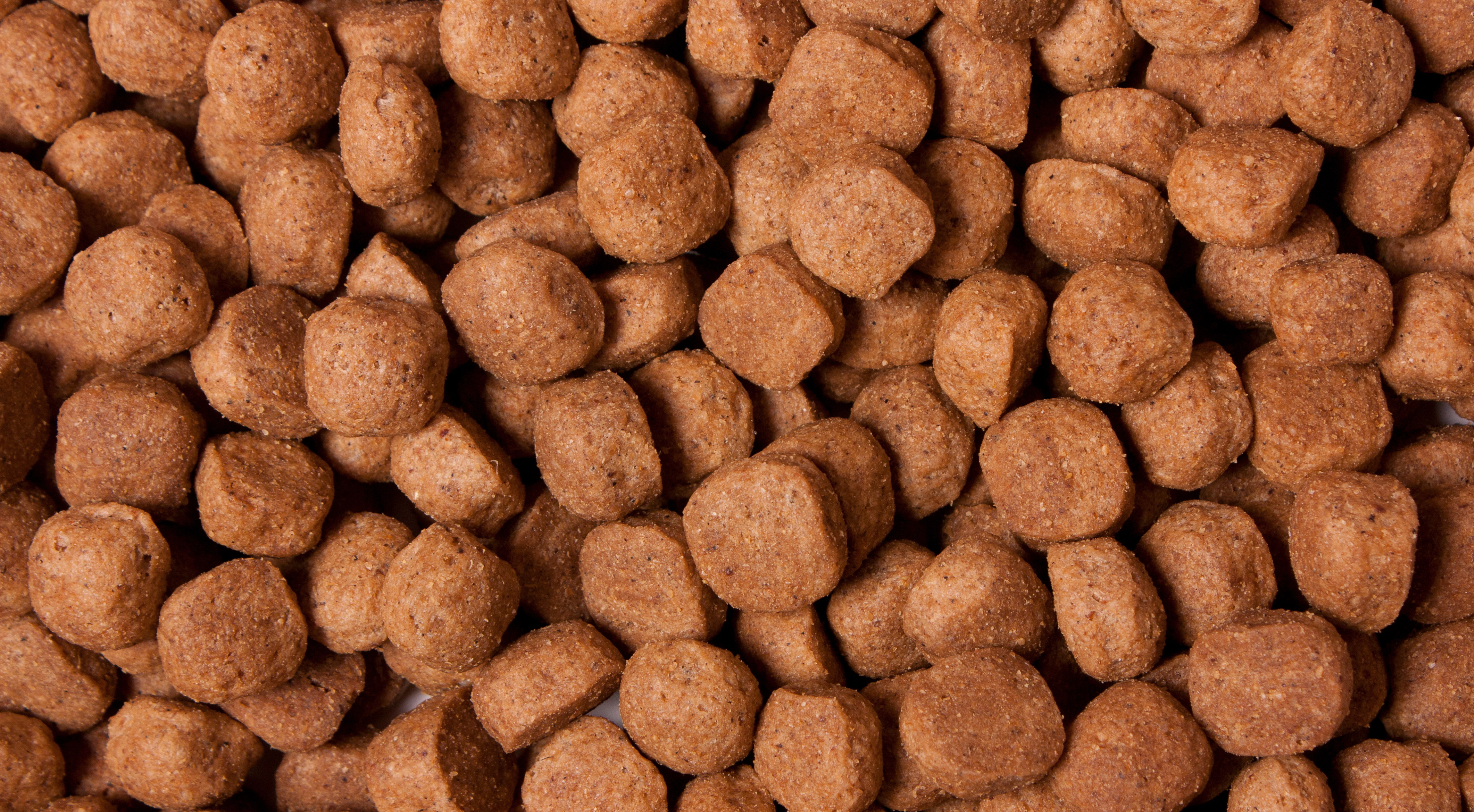 kibble diet for dogs