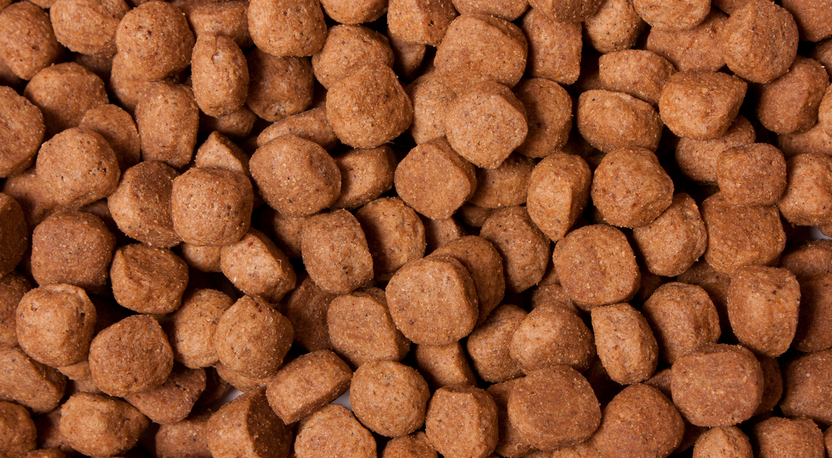 Enhancing Your Dog's Kibble: 11 Nutritious Additions – Marleybones