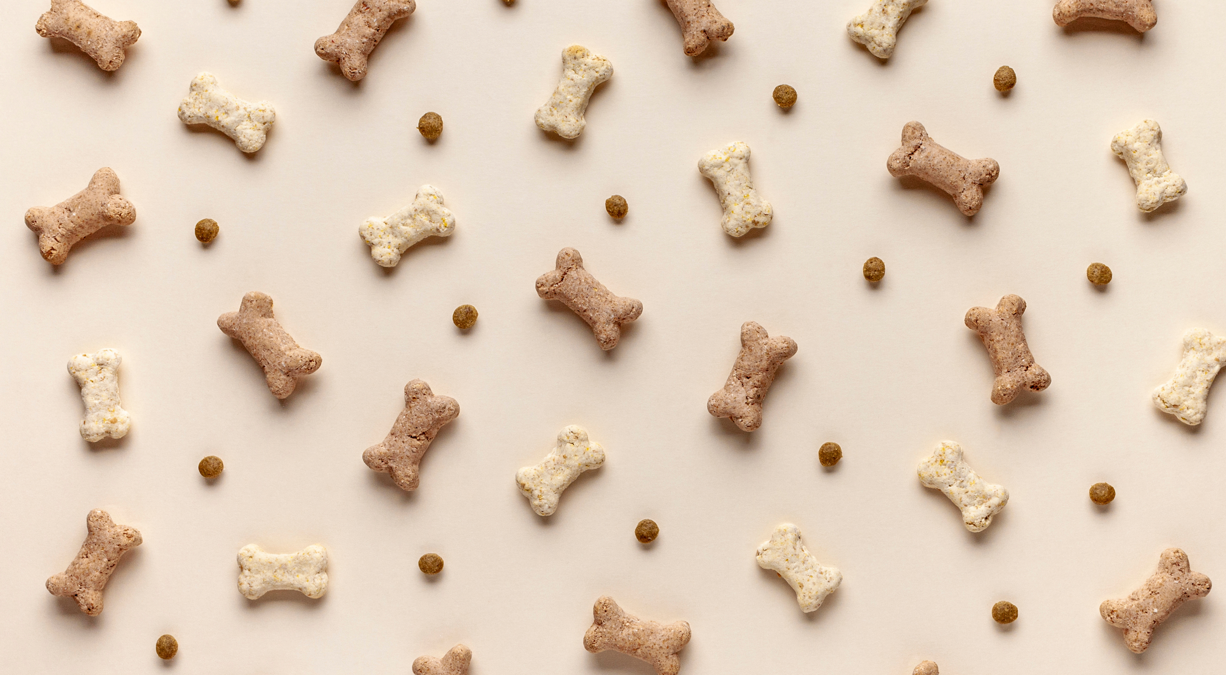 Are Milk Bones Bad for Dogs? Uncovering Health Effects