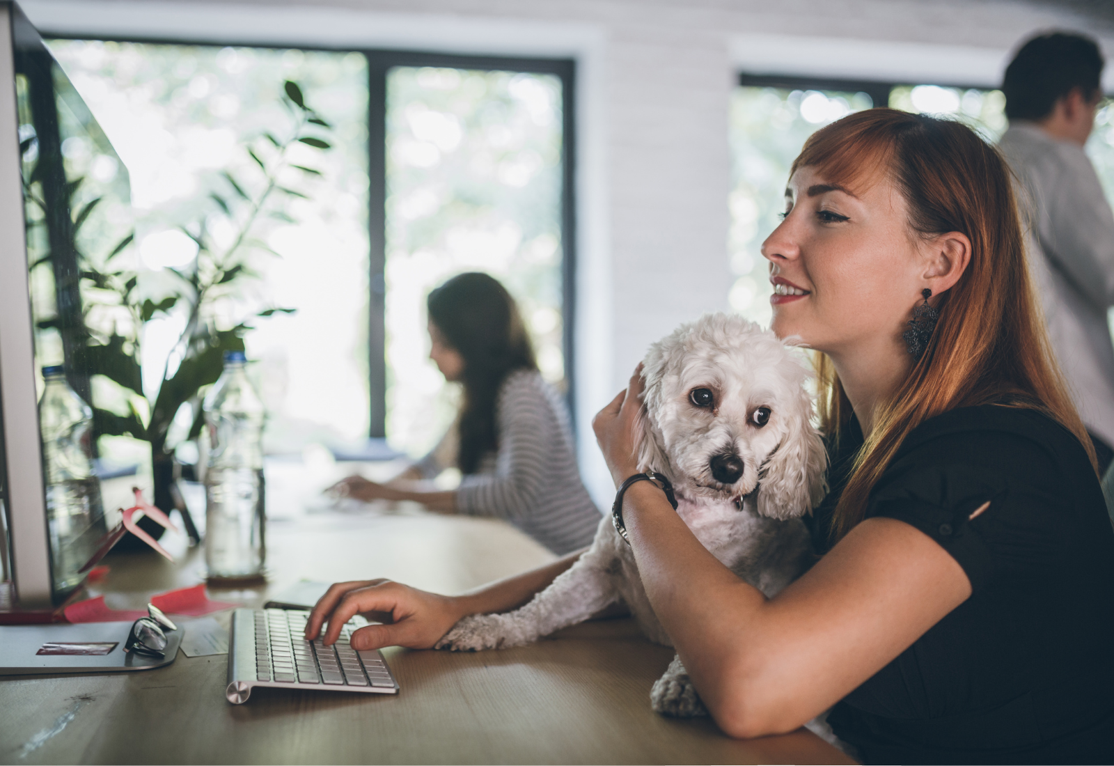 10 Tips for Dog-Friendly Offices: Ensuring a Pawsitive Work Environment