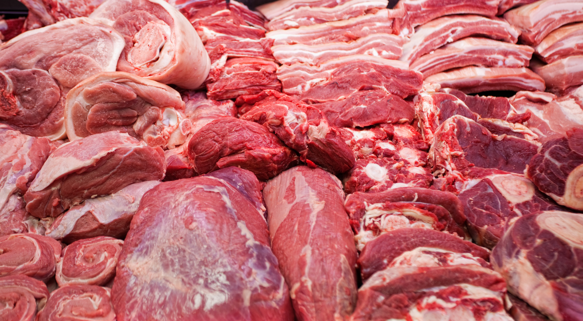 Can Dogs Eat Pork? A Guide to Feeding Your Dog Pork Safely