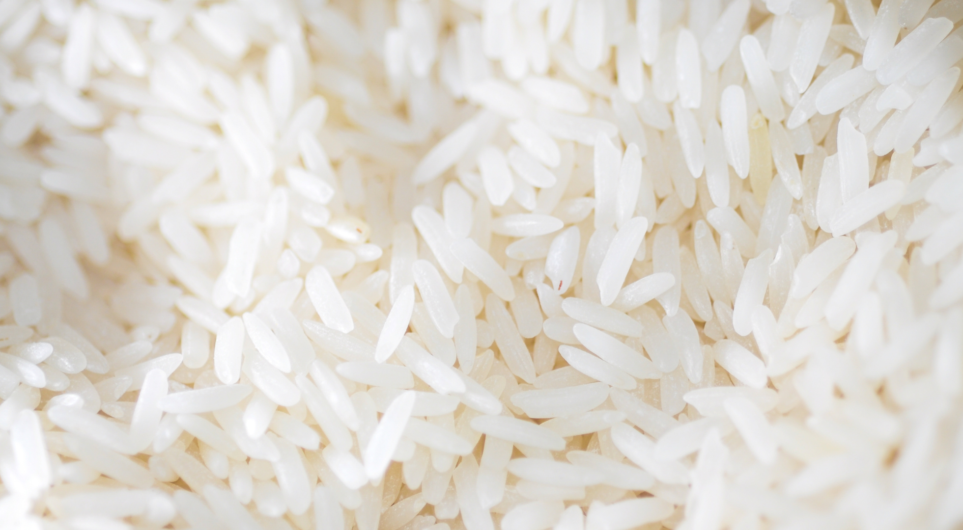 Can My Dog Eat Rice? Essential Insights for Pet Owners