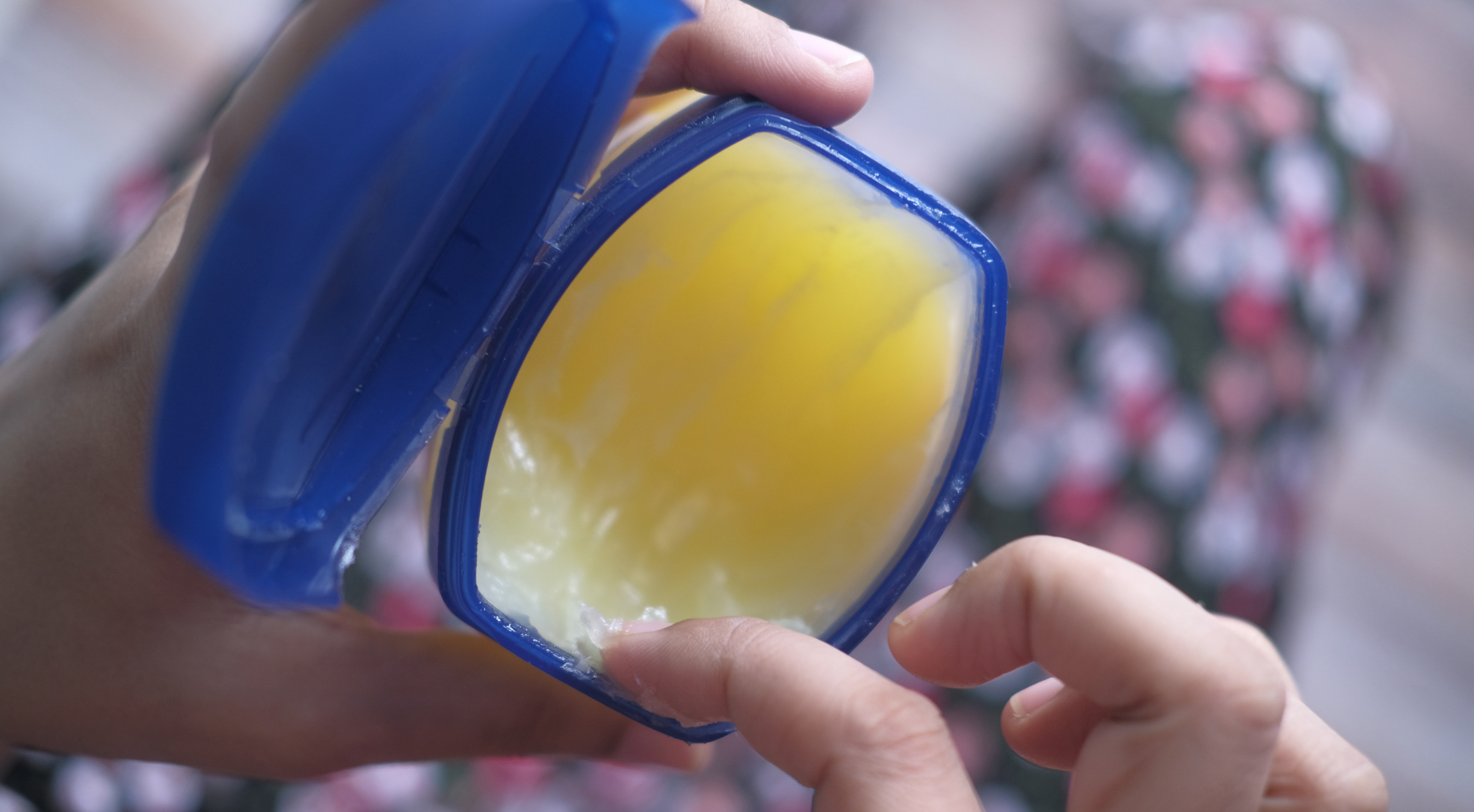 Can I Put Vaseline on My Dog? Safe Uses & Better Options