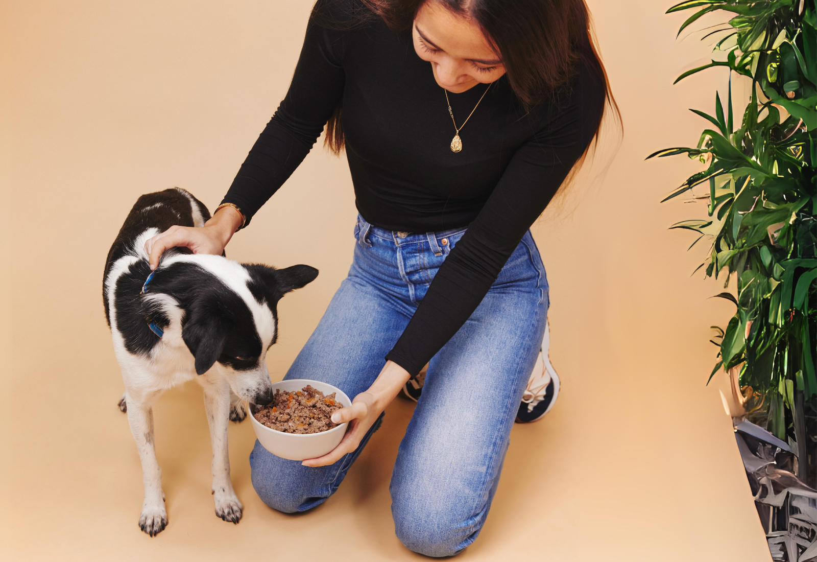 The Key Role of Fibre in Your Dog's Diet: How Much and From Which Sources? Understanding One of the Most Complex Topics in Canine Nutrition