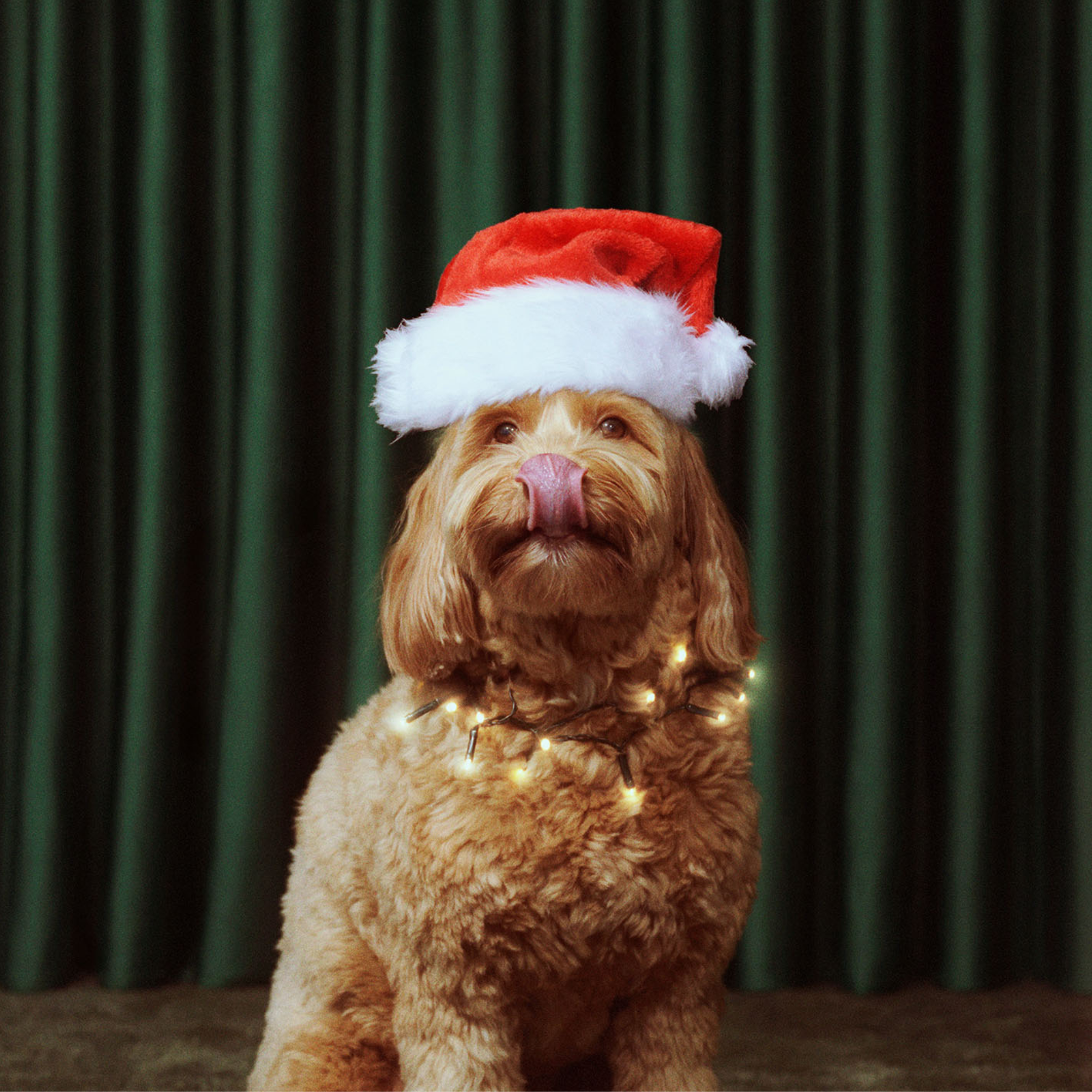 Christmas Advent Calendar