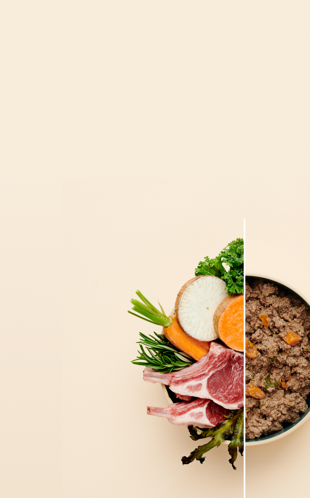 can-my-dog-eat-salt-sodium-needs-and-risks-marleybones