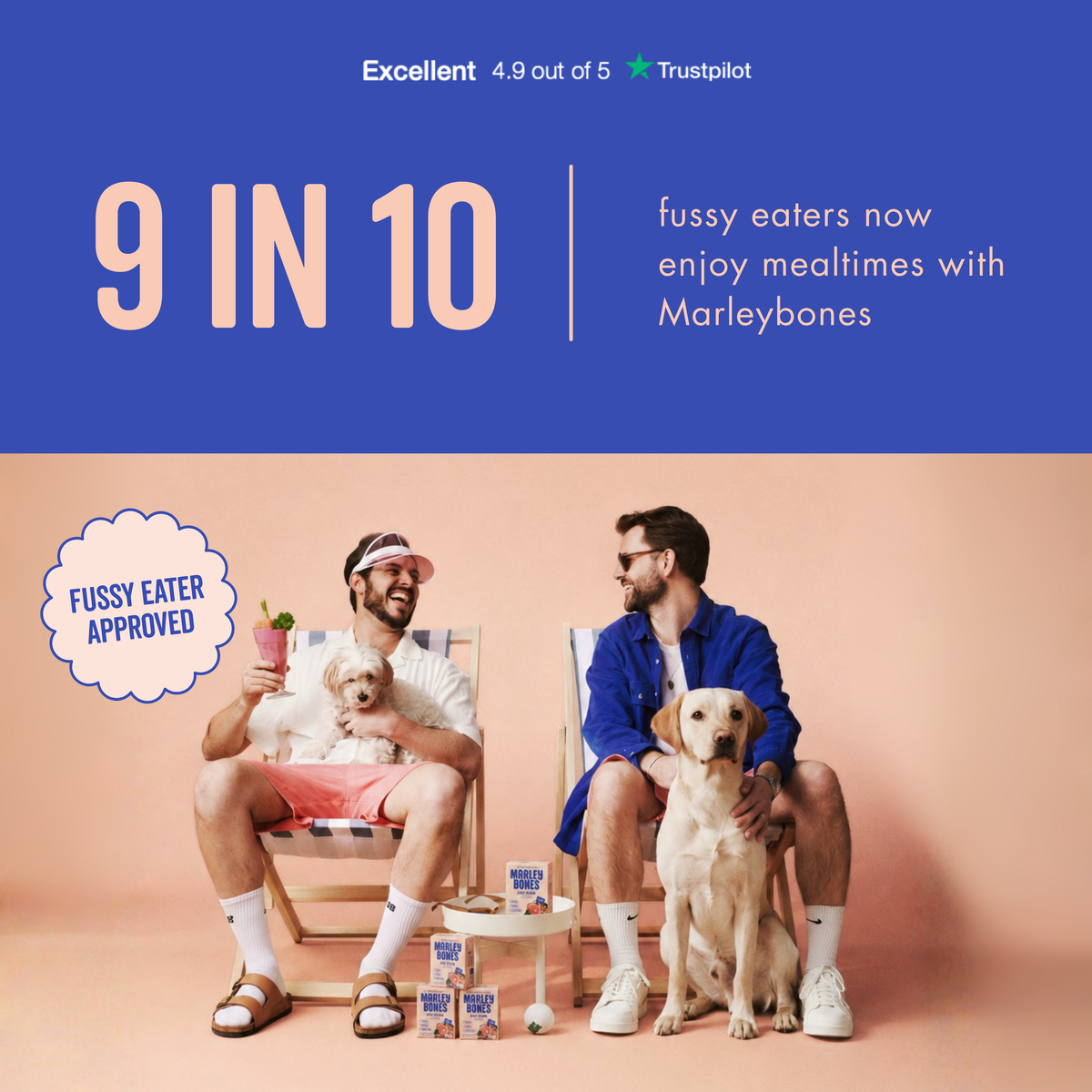 Fussy eater approved salmon dog food by Marleybones