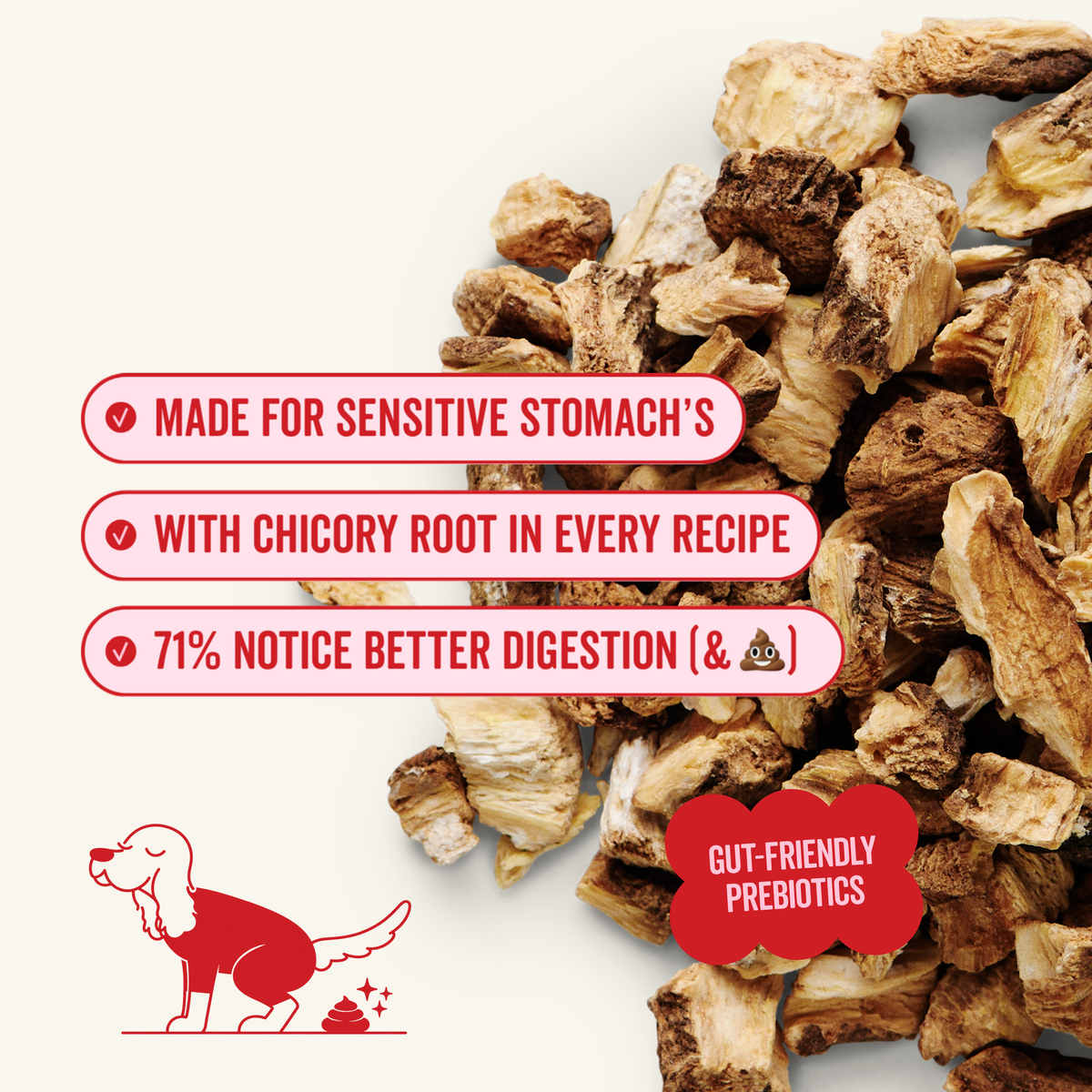 Gut-friendly Boss Beef dog food with prebiotics