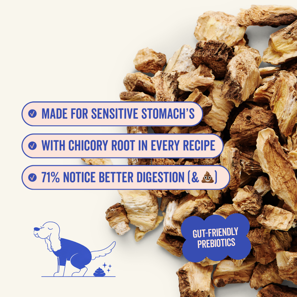 Sassy Salmon dog food for sensitive stomachs