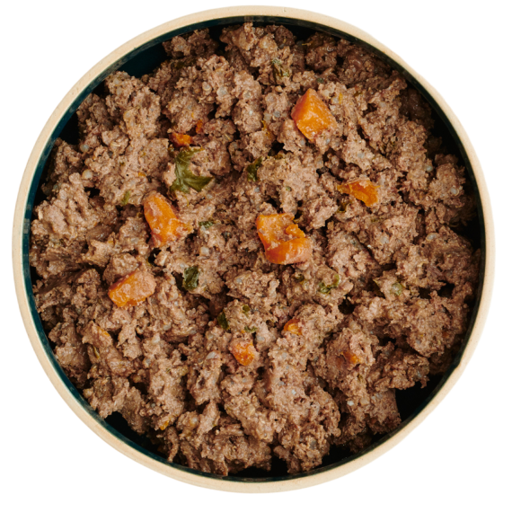 Bowl of fresh dog food