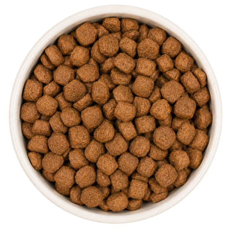 Bowl of dry kibble