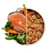 Salmon meal bowl